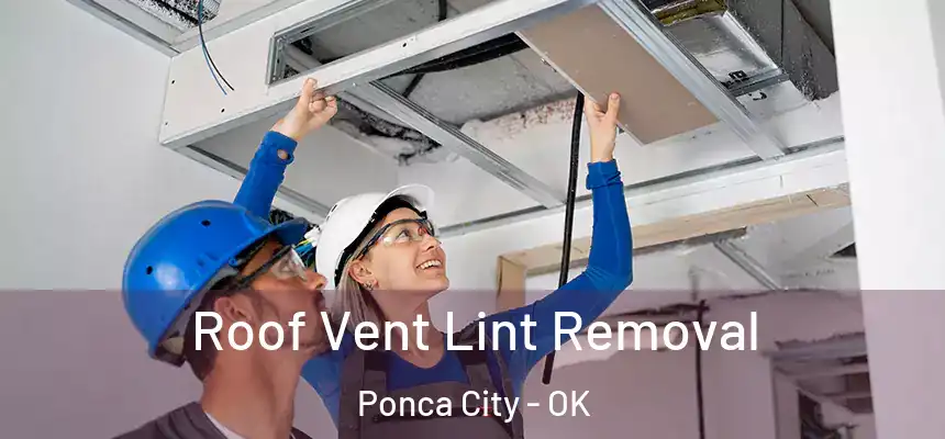  Roof Vent Lint Removal Ponca City - OK