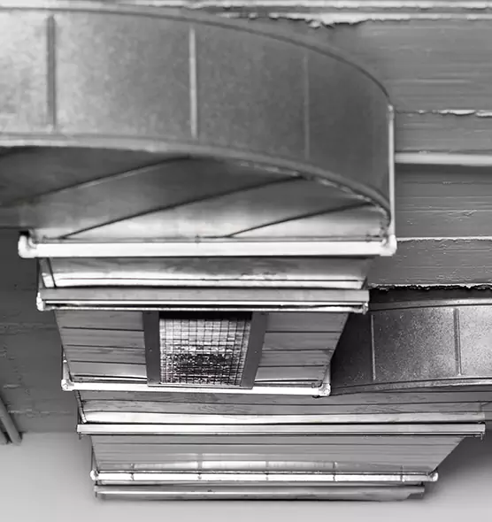 Professional Air Duct Pest Removal in Ponca City, OK