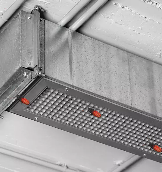 Affordable Insect Removal from Air Ducts in Ponca City, OK