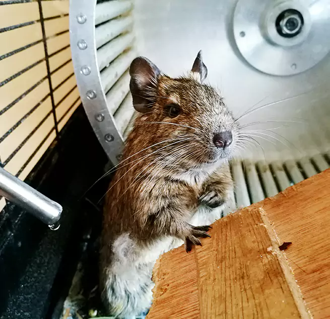 Why Homeowners & Businesses Trust Us Ponca City, OK?